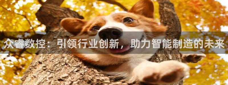 天辰娱乐解封