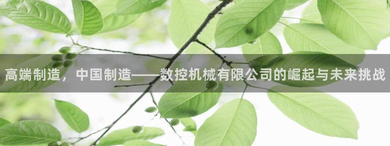 天辰娱乐入口