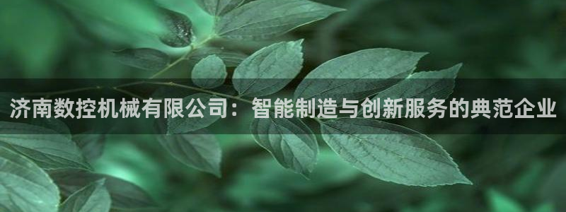 天辰 娱乐 注册：济南数控机械有限公司：智能制造与创新服务的典范企业