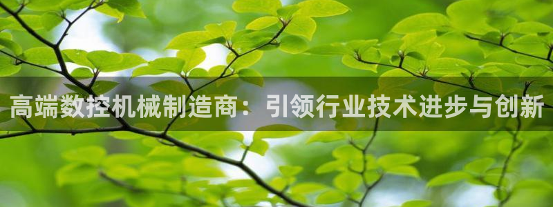 天辰娱乐_675138