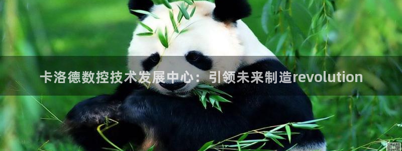 天辰娱乐的网址首页
