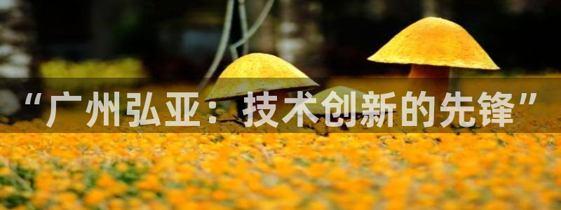 天辰娱乐的网址首页：“广州弘亚：技术创新的先锋”