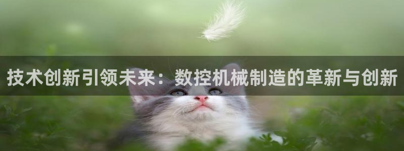 天辰娱乐平台注册