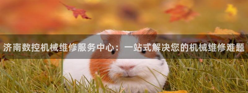 天辰平台娱乐