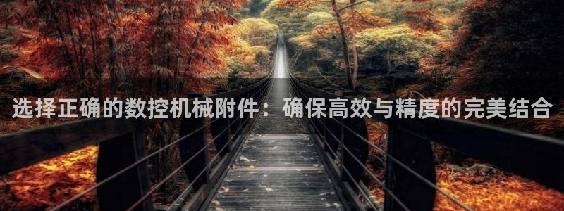 天辰娱乐53551