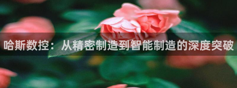 天辰娱乐 44516:哈斯数控:从精密制造到智能制造的深度突破