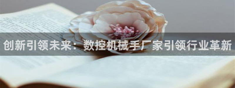 天辰娱乐台湾:创新引领未来:数控机械手厂家引领行业革新