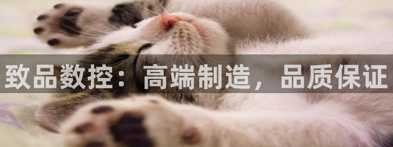 天辰娱乐登录测试