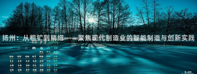 天辰娱乐的网址首页：扬州：从粗犷到精细——聚焦现代制造业的智能制造与创新实践