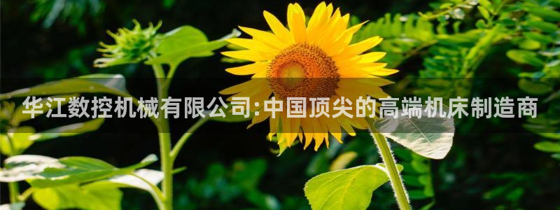 天辰娱乐 849852