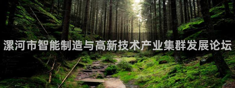 南京天辰娱乐：漯河市智能制造与高新技术产业集群发展论坛