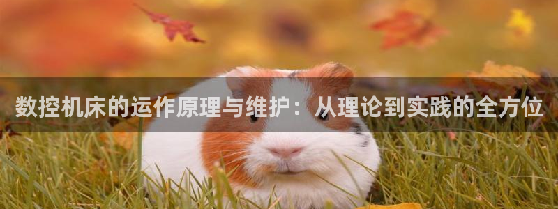 天辰娱乐地址