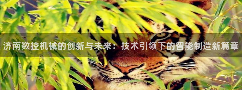 天辰娱乐官网平台入口
