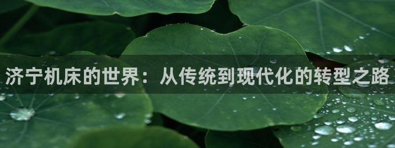 天富娱乐天辰娱乐