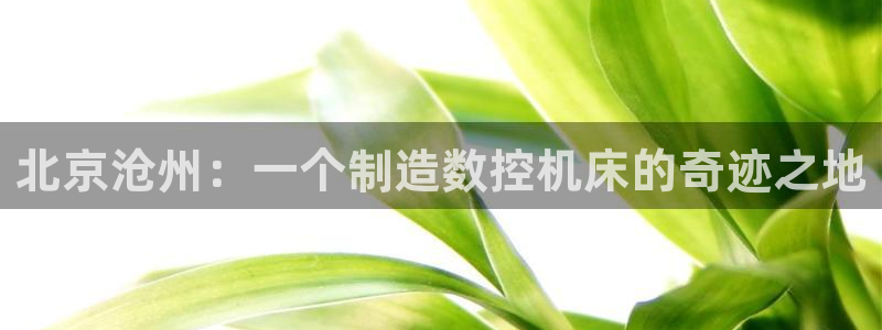 天辰娱乐白屏