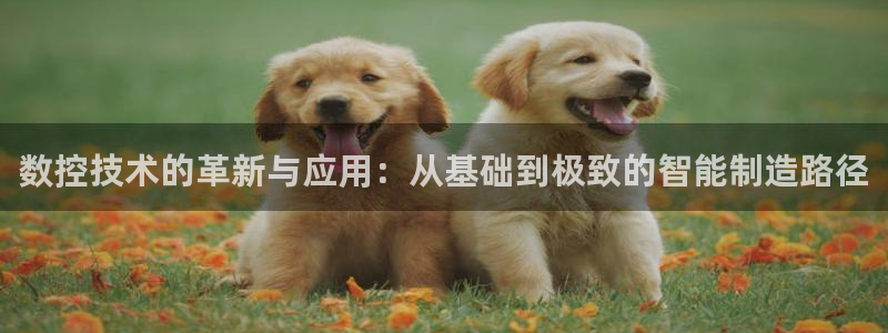 天辰娱乐娱乐