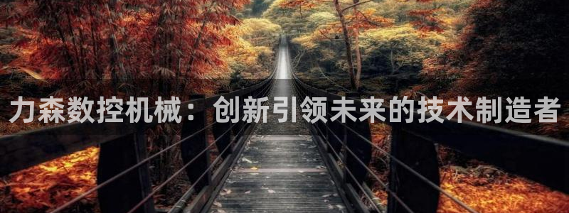腾讯天辰娱乐:力森数控机械:创新引领未来的技术制造者