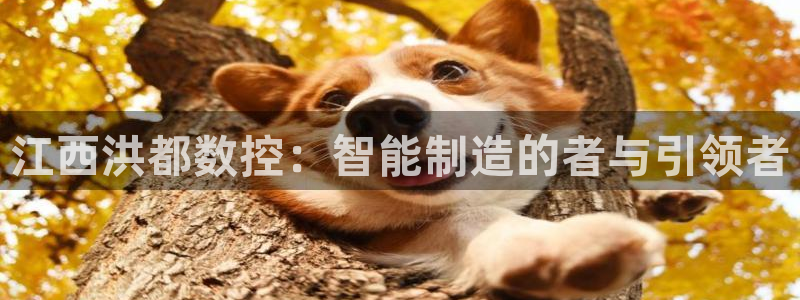 天辰娱乐娱乐平台:江西洪都数控:智能制造的者与引领者