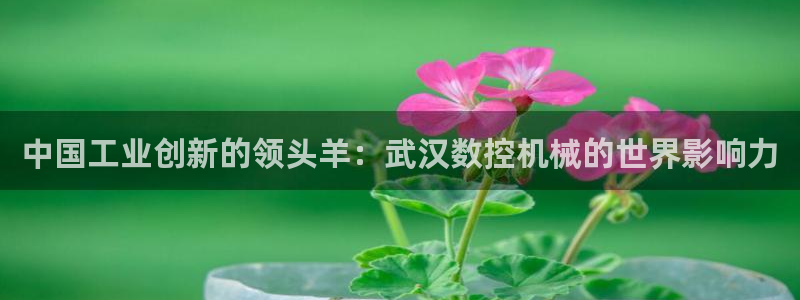 天辰臣娱乐