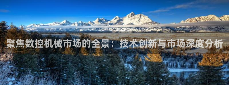 nba天辰娱乐：聚焦数控机械市场的全景：技术创新与市场深度分析
