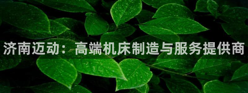 天辰娱乐国际：济南迈动：高端机床制造与服务提供商