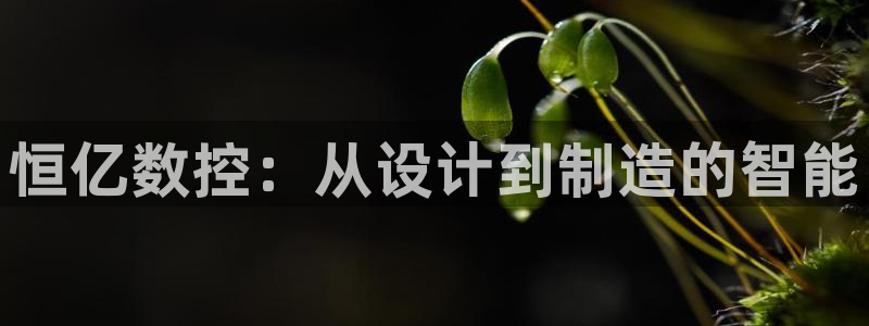 天富娱乐天辰娱乐：恒亿数控：从设计到制造的智能