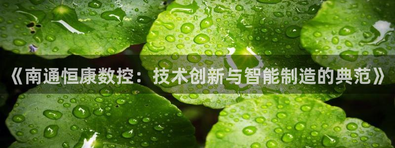 天辰娱乐957807：《南通恒康数控：技术创新与智能制造的典范》