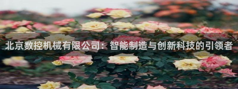 天辰娱乐测速：北京数控机械有限公司：智能制造与创新科技的引领者