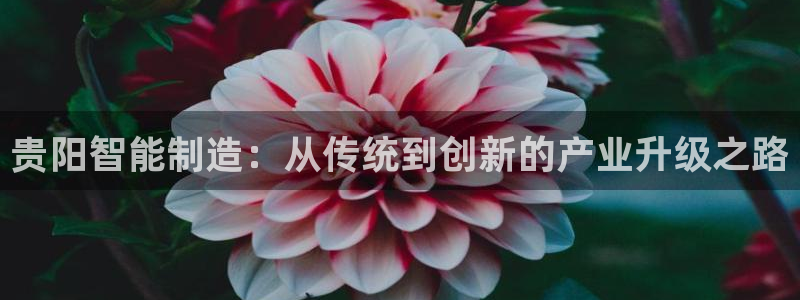 天辰娱乐卡