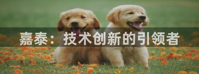 天辰娱乐链接