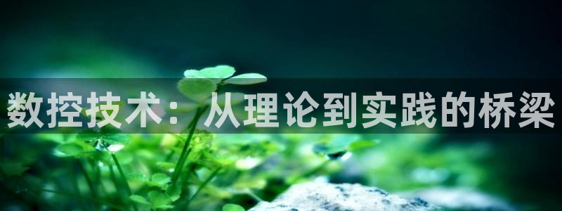 天辰娱乐好吗