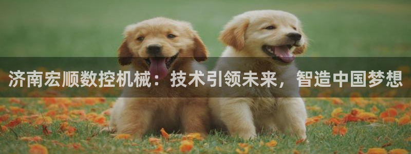 天辰团队贝高娱乐