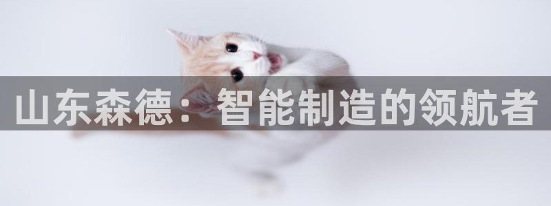 天辰娱乐注册登录:山东森德:智能制造的领航者