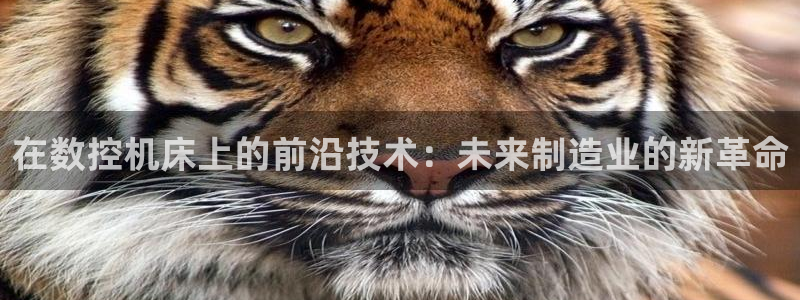 天辰娱乐1966：在数控机床上的前沿技术：未来制造业的新革命
