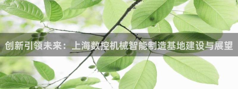 娱乐ktv天辰：创新引领未来：上海数控机械智能制造基地建设与展望