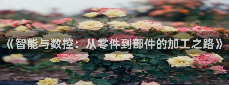 天辰娱乐代理
