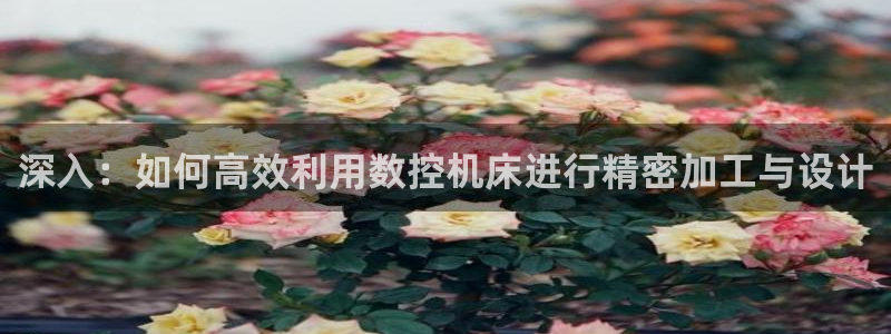 天辰娱乐公司