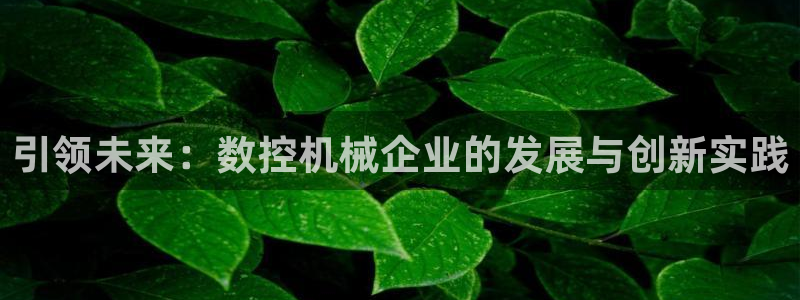 天辰娱乐简介:引领未来:数控机械企业的发展与创新实践