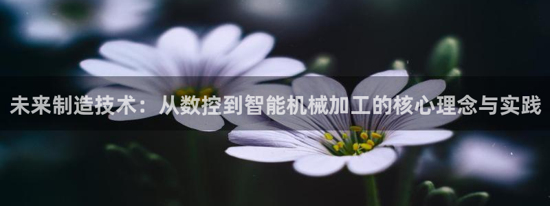 天辰娱乐的网址首页