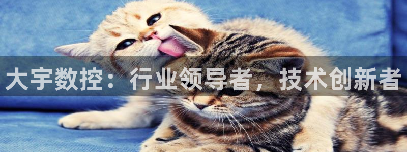 天辰娱乐平台地址在哪里