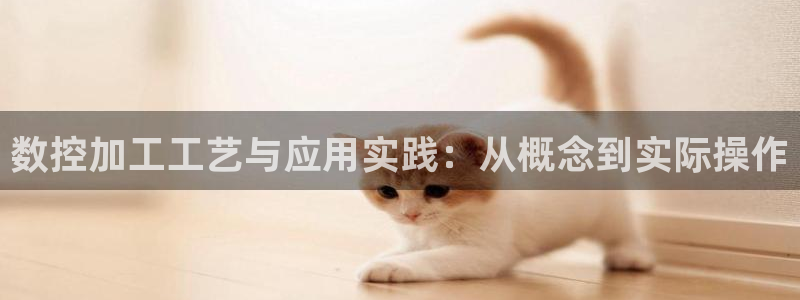 天辰娱乐简介