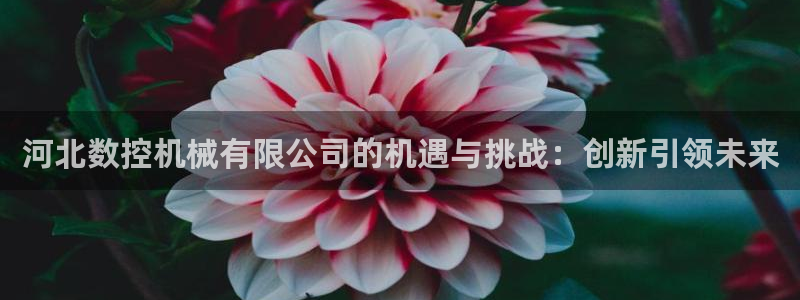 天辰娱乐十分彩