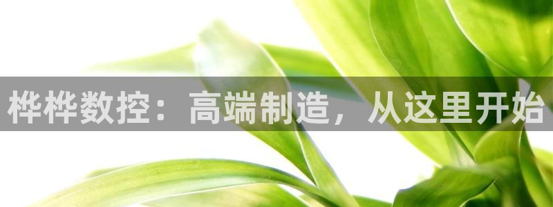 天辰娱乐黑人