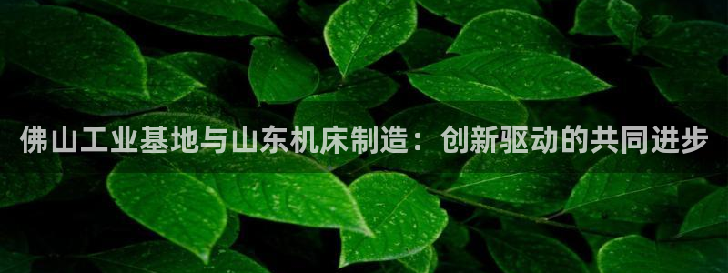 天富娱乐与天辰娱乐