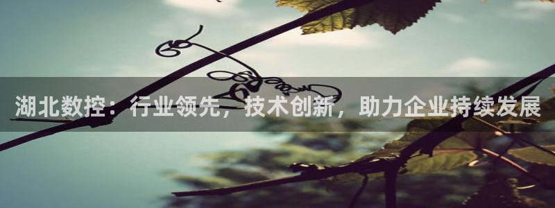 大同天辰娱乐