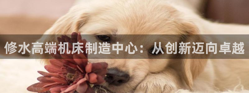 天辰娱乐_ 18113