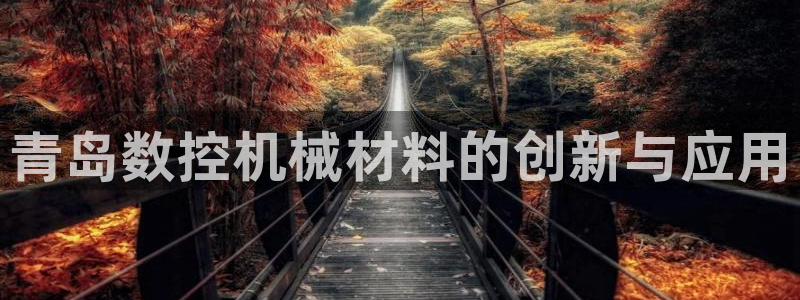 天辰娱乐_ 18113