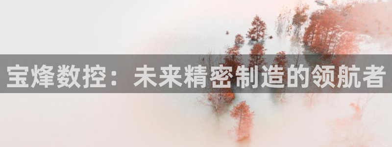 天辰娱乐股东:宝烽数控:未来精密制造的领航者